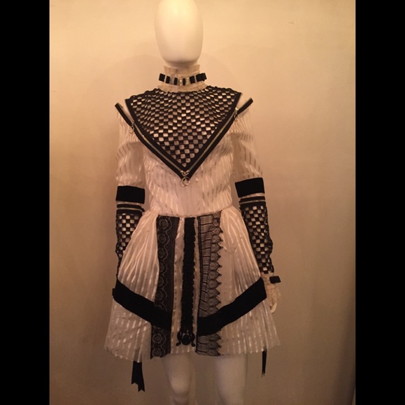 SOLD Dilara Findikoglu Silk Gothic Victorian Dress - Picture 3 of 8